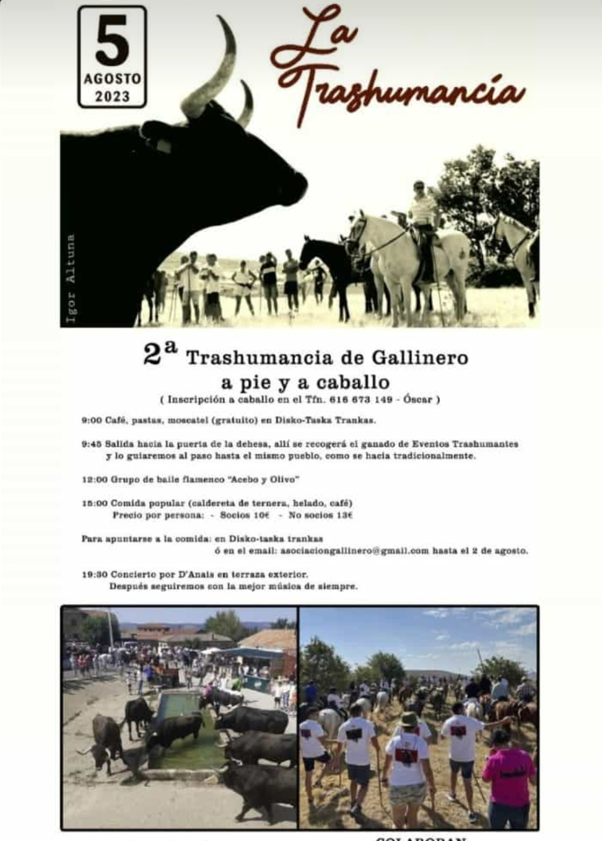 Gallinero celebrar&aacute; su II jornada dedicada a la trashumancia | Imagen 1