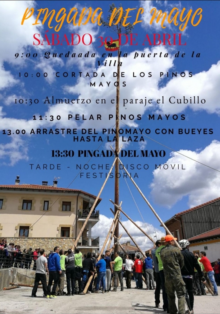 Cabrejas del Pinar pingar&aacute; su pino mayo el &uacute;ltimo d&iacute;a de abril | Imagen 1
