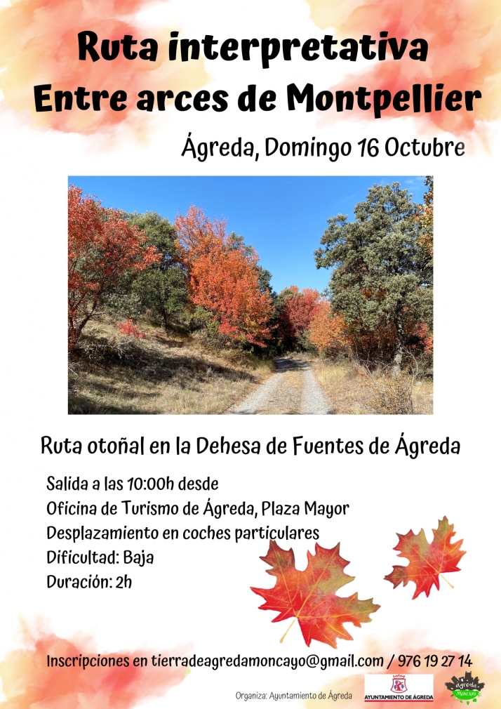 &Aacute;greda organiza una ruta interpretativa 'Entre los Arces de Montpellier' | Imagen 1