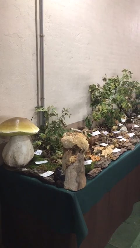 El Ayuntamiento abre la votaci&oacute;n de los presupuestos participativos con 13 ideas finalistas | Imagen 3