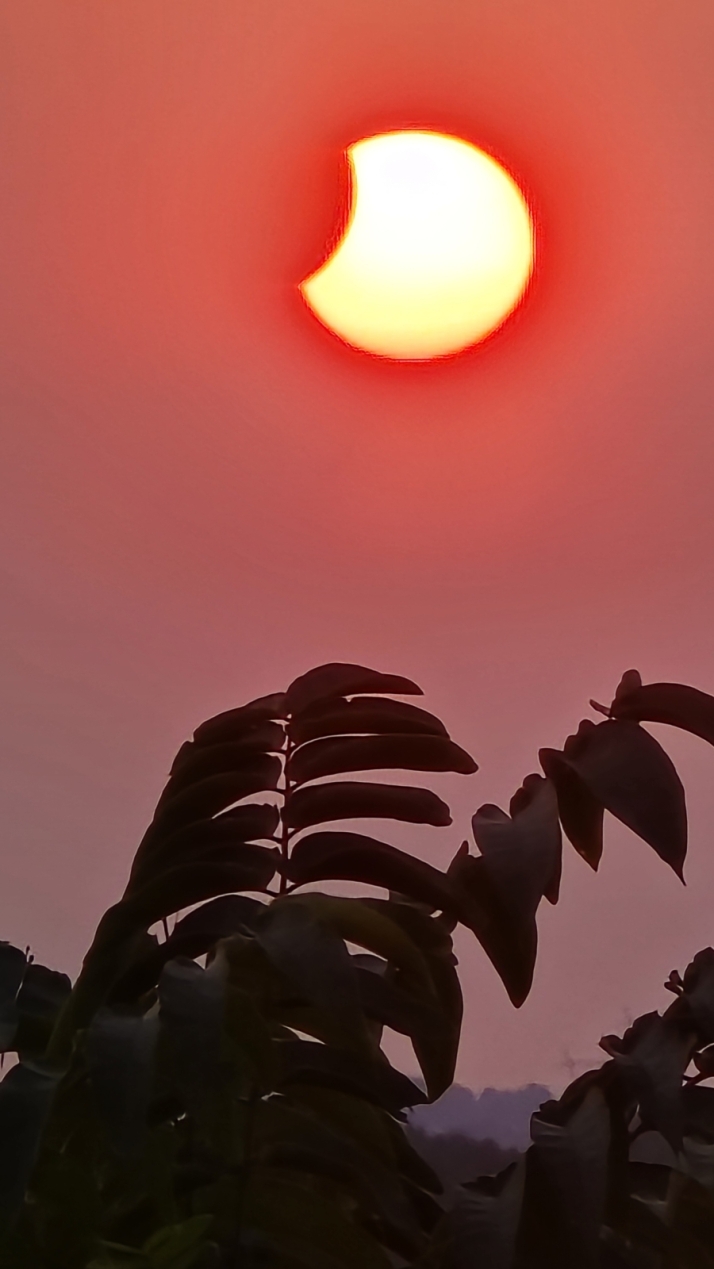 Concurso fotogr&aacute;fico: Decenas de lectores comparten su eclipse con Soria Noticias | Imagen 88