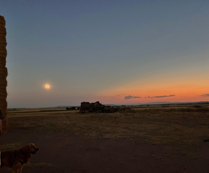 Concurso fotogr&aacute;fico: Decenas de lectores comparten su eclipse con Soria Noticias | Imagen 93