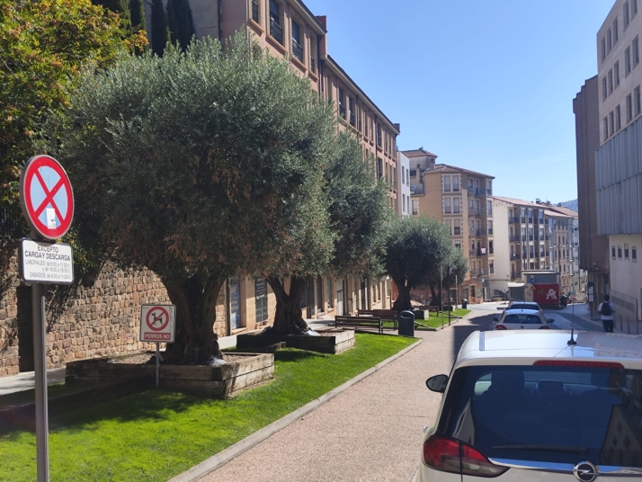 Un paseo por la Zona de Bajas Emisiones de Soria y sus puntos m&aacute;s conflictivos | Imagen 8