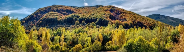 Cuatro hayedos sorianos para conocer los 'misterios' del oto&ntilde;o | Imagen 2