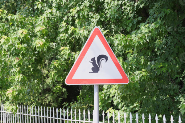 El Ayuntamiento abre la votaci&oacute;n de los presupuestos participativos con 13 ideas finalistas | Imagen 9