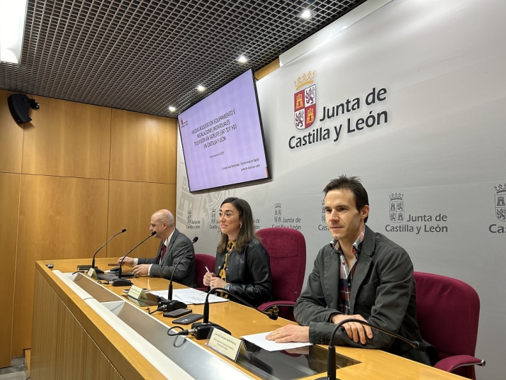Castilla y Le&oacute;n abonar&aacute; hasta 400 &amp;euro; para adaptar instalaciones y receptores v&iacute;a sat&eacute;lite afectados por el apag&oacute;n de la TDT en formato SD | Imagen 1