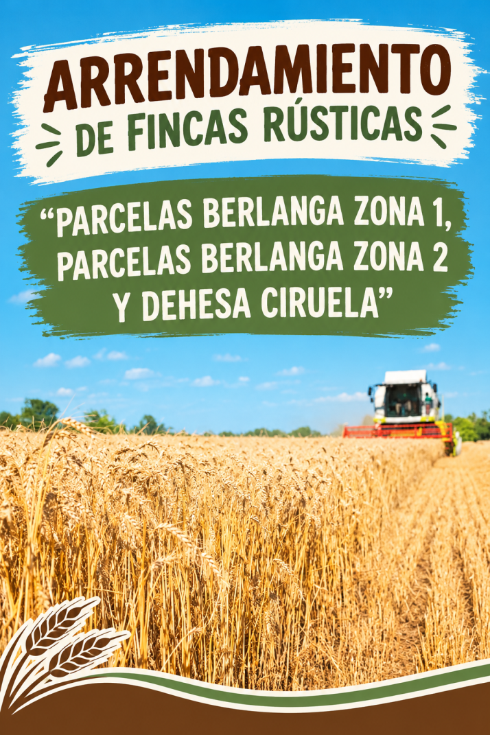 Berlanga de Duero licita el arrendamiento de tres fincas r&uacute;sticas | Imagen 1