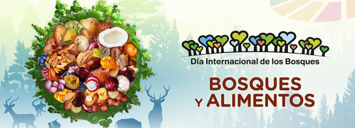 Soria acoge jueves y viernes el D&iacute;a de los Bosques | Imagen 1