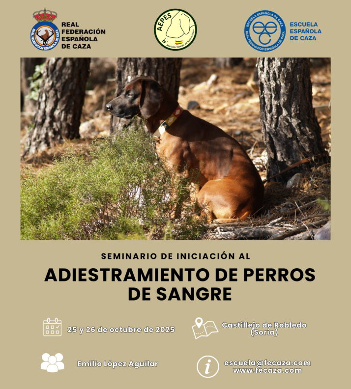 Castillejo de Robledo acoger&aacute; un curso nacional sobre el rastreo de piezas heridas | Imagen 1
