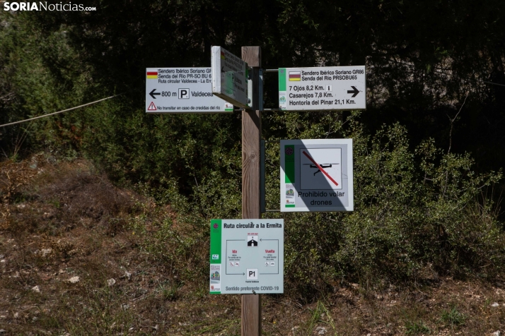 Gu&iacute;a del Ca&ntilde;&oacute;n del R&iacute;o Lobos, una fortaleza natural | Imagen 9