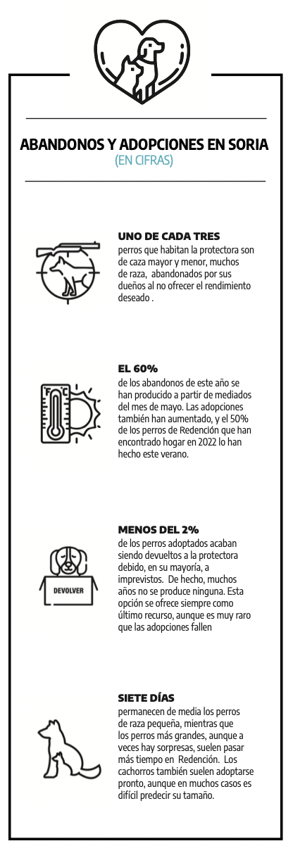 Fotos y video: Un amor que hay que vivir para entender | Imagen 1