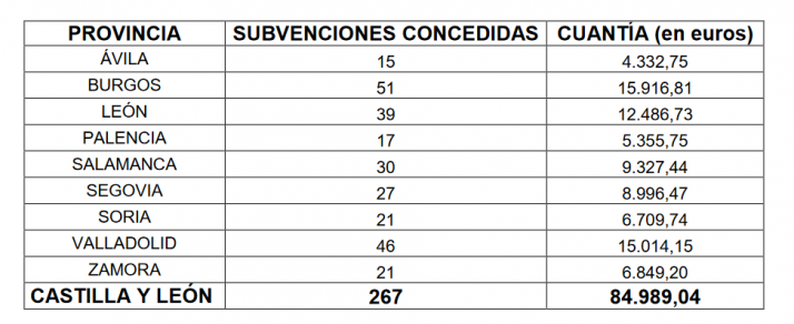 Castilla y Le&oacute;n concede m&aacute;s de 6.000 euros en subvenciones a 21 AMPAS sorianas | Imagen 1