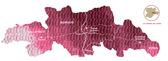As&iacute; ha llegado la vendimia a Soria: entre la lucha contra los hongos en la vid y m&aacute;s uvas que en los &uacute;ltimos dos a&ntilde;os | Imagen 1