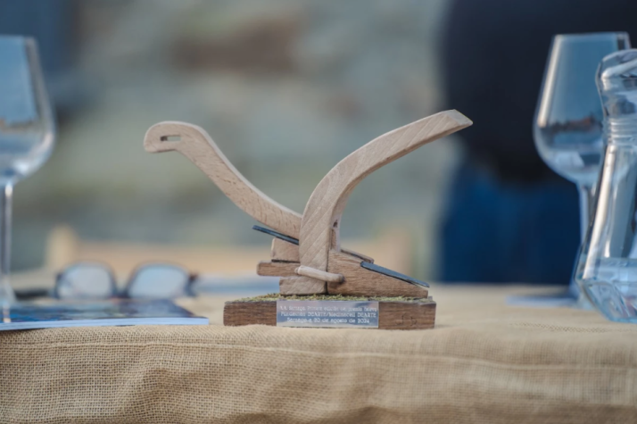 La Fundaci&oacute;n Medinaceli Dearte recibe el premio 'Esteva' por 16 a&ntilde;os de lucha contra la despoblaci&oacute;n  | Imagen 1