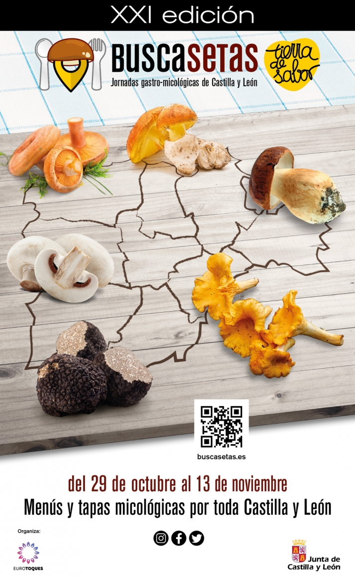 Buscasetas 2022: Castilla y León se prepara para uno de los eventos gastronómicos más importantes de España | Imagen 1