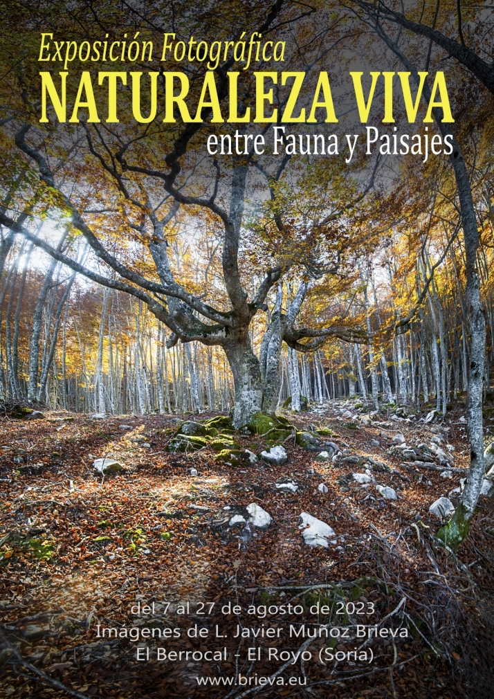 Naturaleza y fauna se a&uacute;nan en una exposici&oacute;n muy novedosa en El Royo | Imagen 1