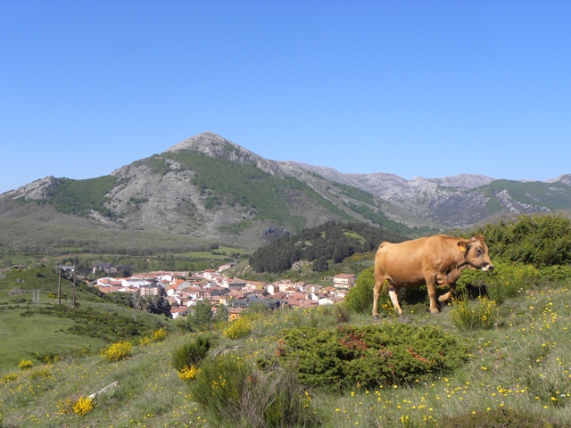 Los pueblos más populares. Cada provincia de Castilla y León tiene el suyo | Imagen 4