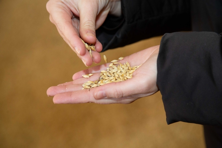 La cooperativa que &lsquo;sujeta&rsquo; Soria | Imagen 2