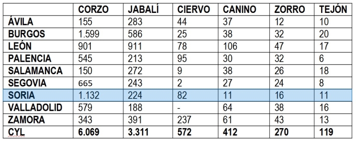 Soria, la provincia con mayor tasa de siniestralidad en el tr&aacute;fico por fauna de las carreteras de Castilla y Le&oacute;n | Imagen 2