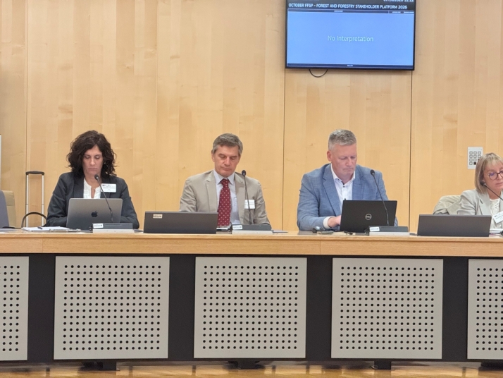 Castilla y Le&oacute;n defiende en Bruselas una gesti&oacute;n forestal activa | Imagen 1