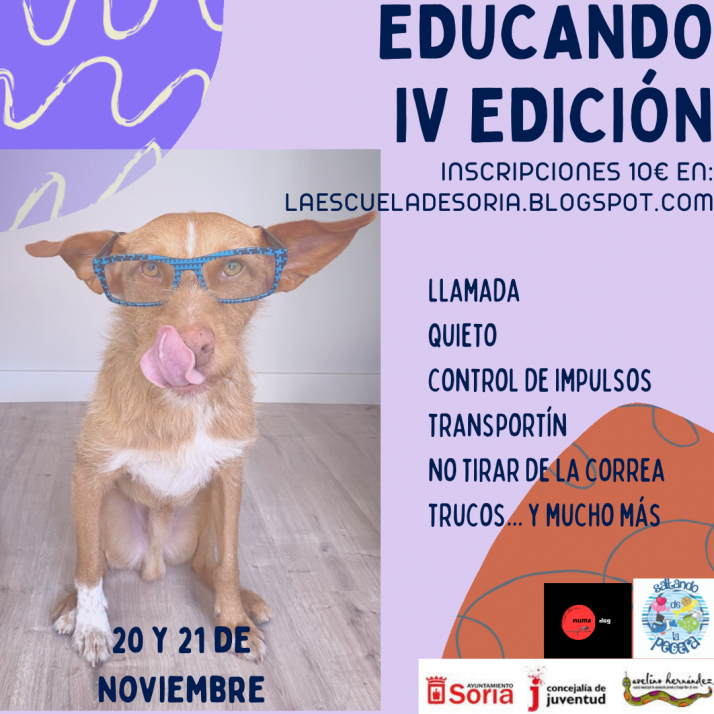 Ayuntamiento de Soria y 'La Pecera' presentan cinco cursos muy variados | Imagen 4