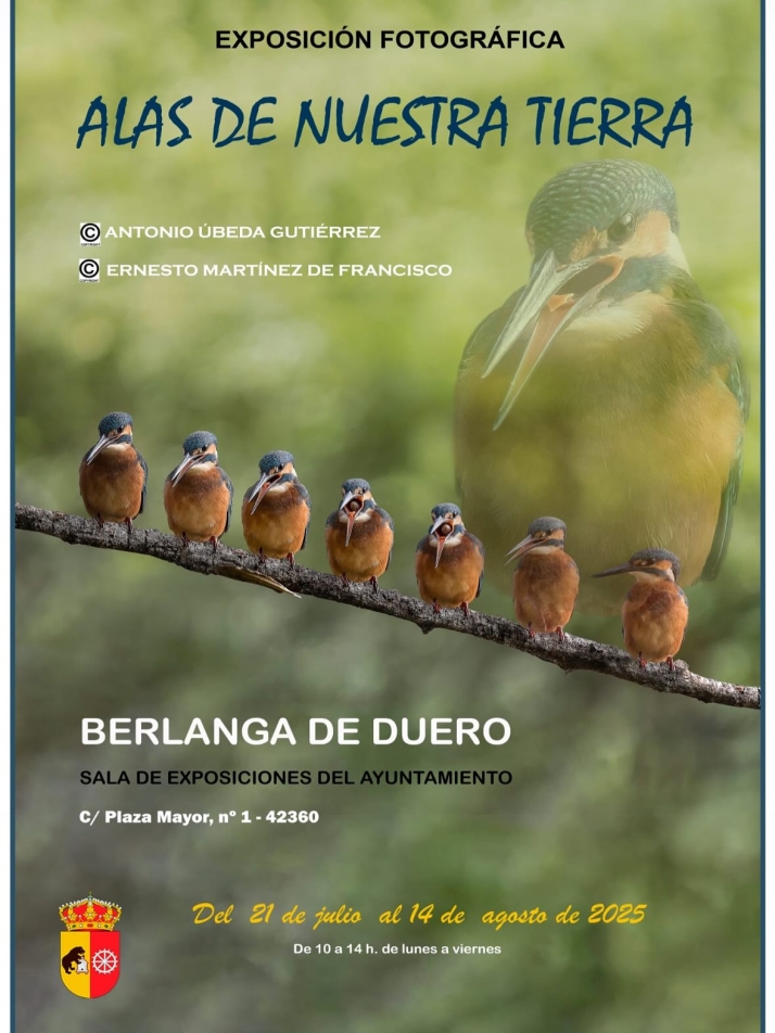 Una invitaci&oacute;n a redescubrir la riqueza natural de Berlanga a trav&eacute;s de la fotograf&iacute;a de sus aves | Imagen 1