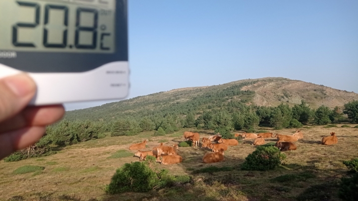 Duruelo destroza su m&aacute;xima hist&oacute;rica con 38,7 grados | Imagen 1