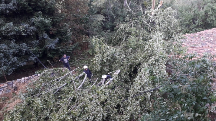Fotos y v&iacute;deo: Las primeras lluvias de agosto en Soria | Imagen 2