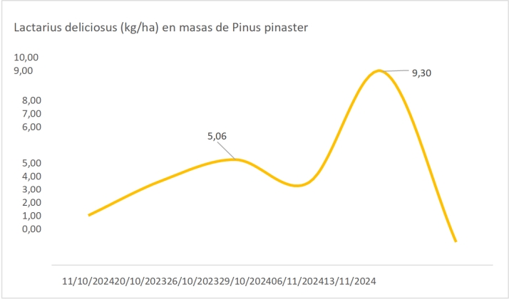 Setas en Castilla y Le&oacute;n: Baja la producci&oacute;n de las especies m&aacute;s conocidas | Imagen 2
