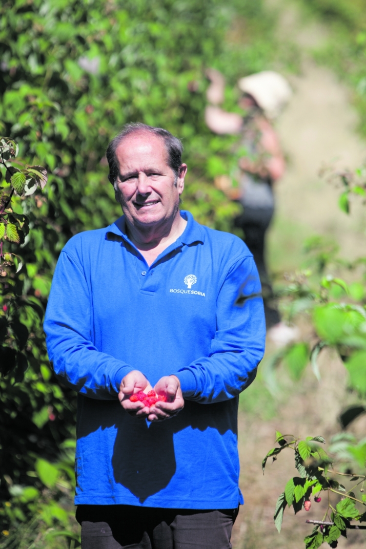 Una Soria de mil sabores: ejemplo de agricultores emprendedores | Imagen 2