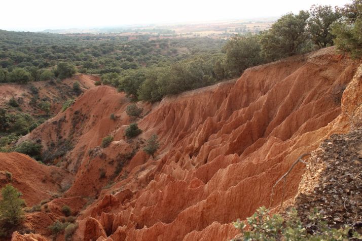 Ruta: La Ribera del Duero y sus encantos  | Imagen 2