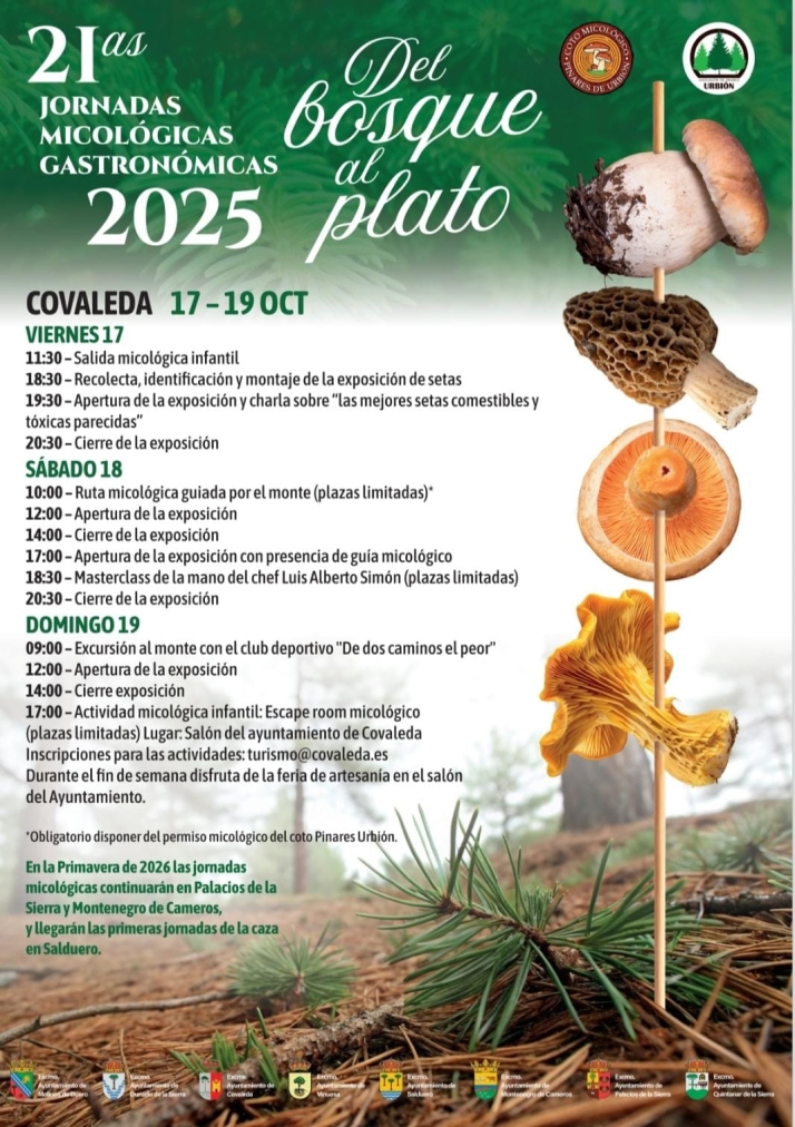 Una novedosa feria de artesan&iacute;a para reforzar las jornadas micol&oacute;gicas de Covaleda | Imagen 2