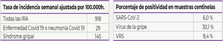 Castilla y Le&oacute;n constata un aumento de infecci&oacute;n por metapneumovirus en poblaci&oacute;n infantil  | Imagen 1