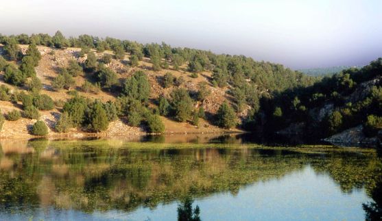 Cinco lagunas, y dos sorpresas, para disfrutar de la primavera en Soria | Imagen 4