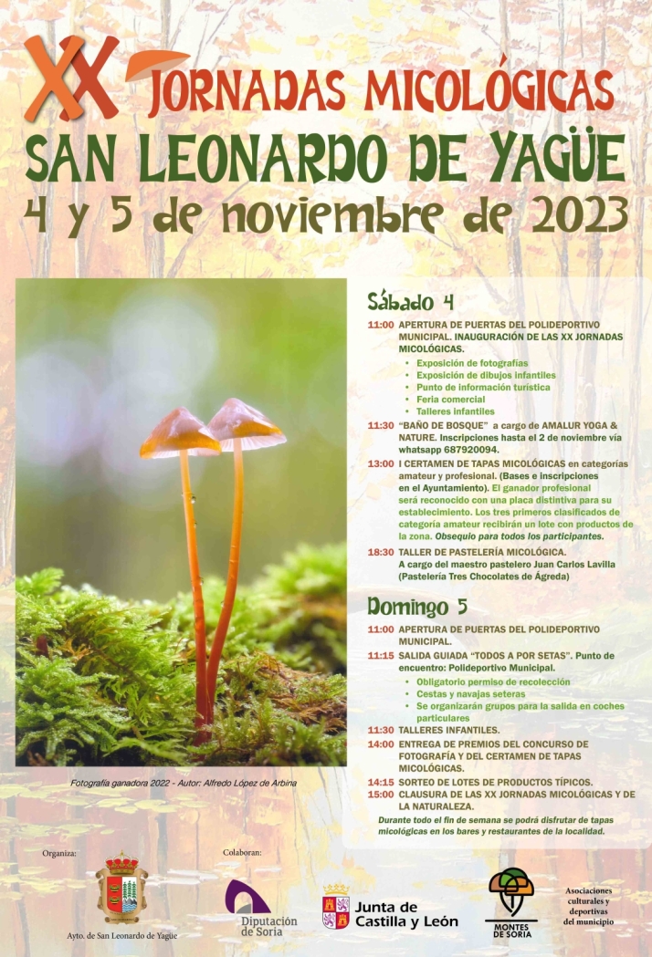 S&aacute;bado y domingo, Jornadas Micol&oacute;gicas en San Leonardo | Imagen 1