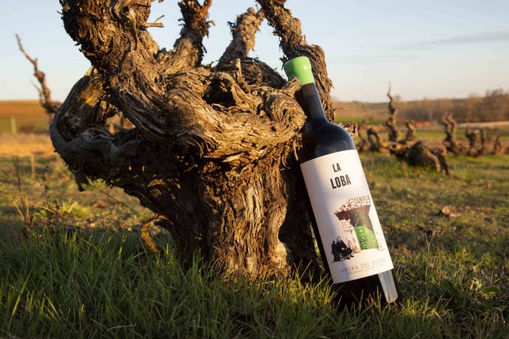 Ana Carazo: valiente apuesta por la Ribera soriana | Imagen 3