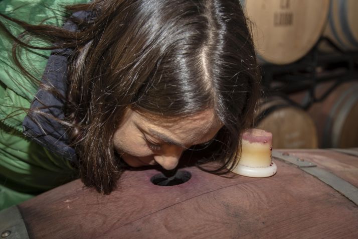 Ana Carazo: valiente apuesta por la Ribera soriana | Imagen 1