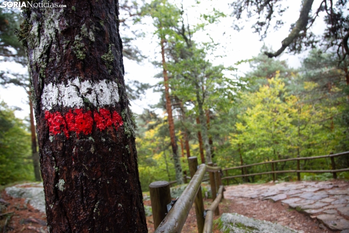 Gu&iacute;a de la Laguna Negra, un portal a otro mundo | Imagen 6
