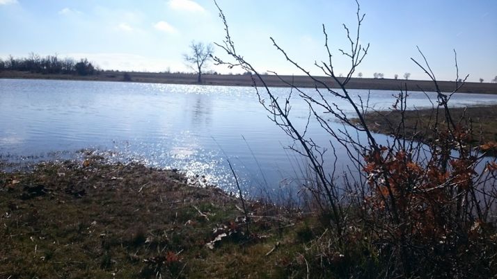 Cinco lagunas, y dos sorpresas, para disfrutar de la primavera en Soria | Imagen 3