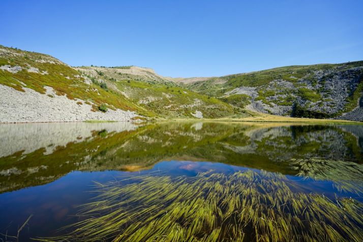 Cinco lagunas, y dos sorpresas, para disfrutar de la primavera en Soria | Imagen 2