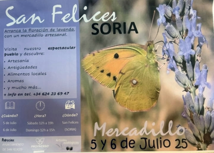 Horarios y todos los detalles del mercadillo por la floraci&oacute;n de la lavanda en San Felices | Imagen 1