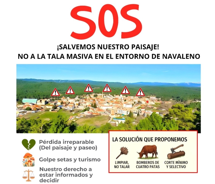 Constituida una comisi&oacute;n contra el marcaje forestal en Navaleno | Imagen 1