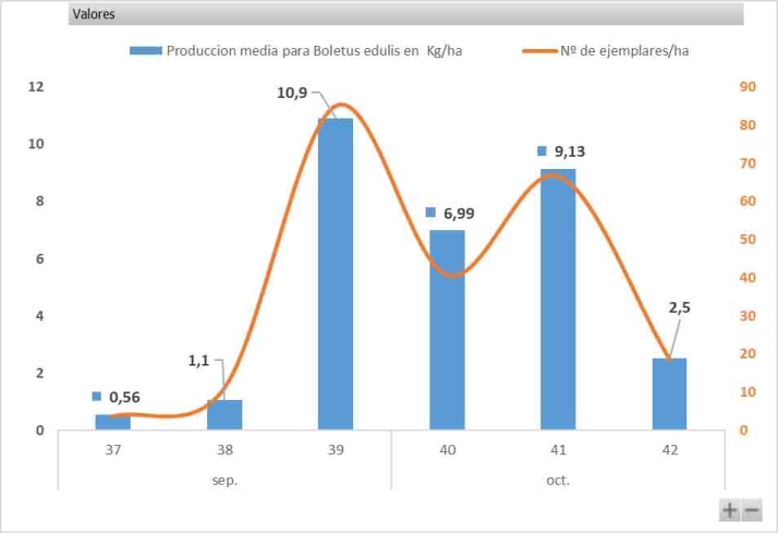Las lluvias de estos d&iacute;as auguran un repunte en la micolog&iacute;a: m&aacute;s n&iacute;scalos y bajan los boletus | Imagen 1
