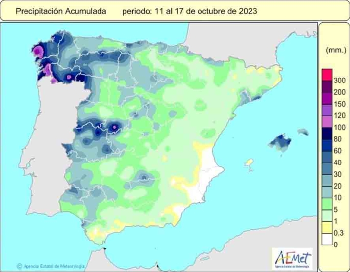 Las lluvias de estos d&iacute;as auguran un repunte en la micolog&iacute;a: m&aacute;s n&iacute;scalos y bajan los boletus | Imagen 2
