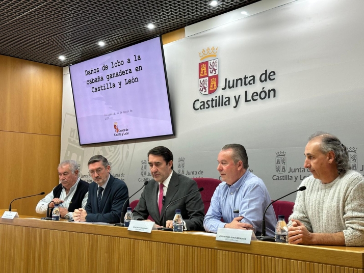 Los ataques de lobo en Soria se disparan con 98 cabezas de ganado muertas durante 2024 | Imagen 1