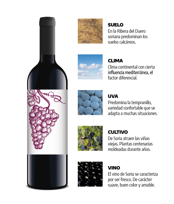 Cambio y oportunidad. Auge de la Ribera olvidada | Imagen 2