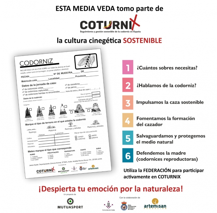 La Federaci&oacute;n de Caza de Soria anima a los cazadores a recoger muestras de codornices  | Imagen 1