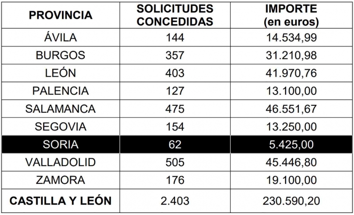 Soria, a la cola de las becas de Castilla y Le&oacute;n para la adquisici&oacute;n de dispositivos digitales este curso | Imagen 1