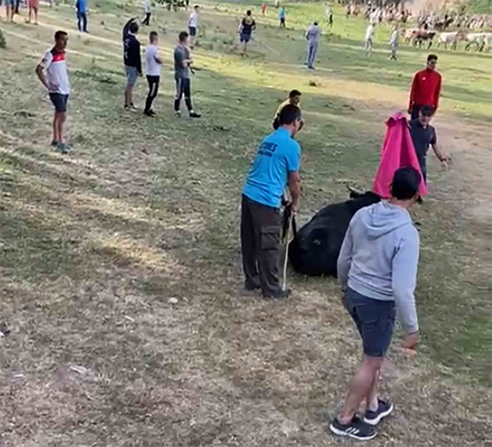 As&iacute; ha sido el r&aacute;pido Lavalenguas matinal  | Imagen 1