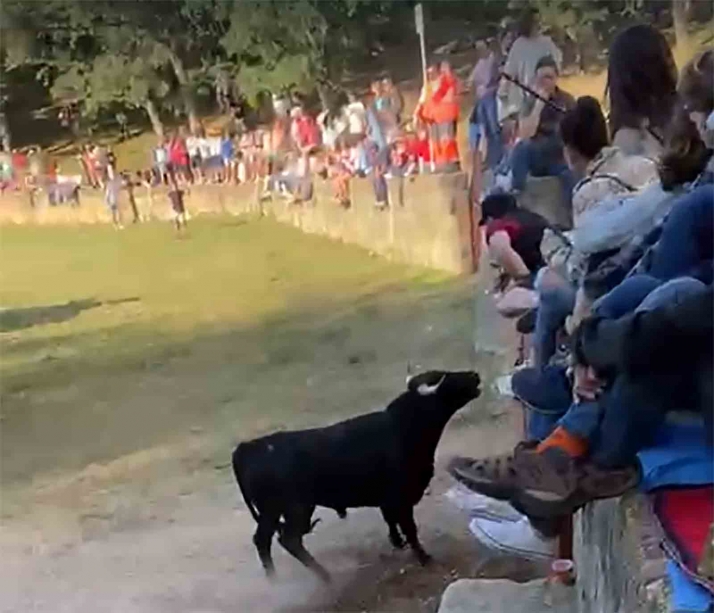 As&iacute; ha sido el r&aacute;pido Lavalenguas matinal  | Imagen 2